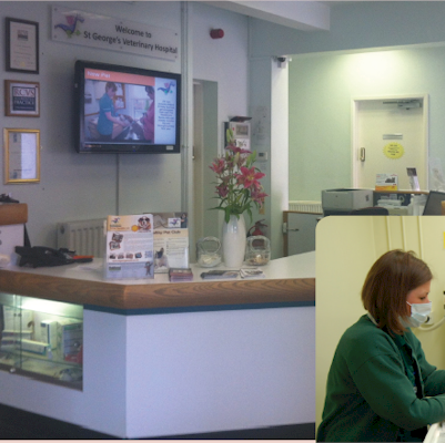 Vets digital signage