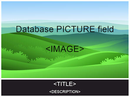 Repeat Signage database picture template
