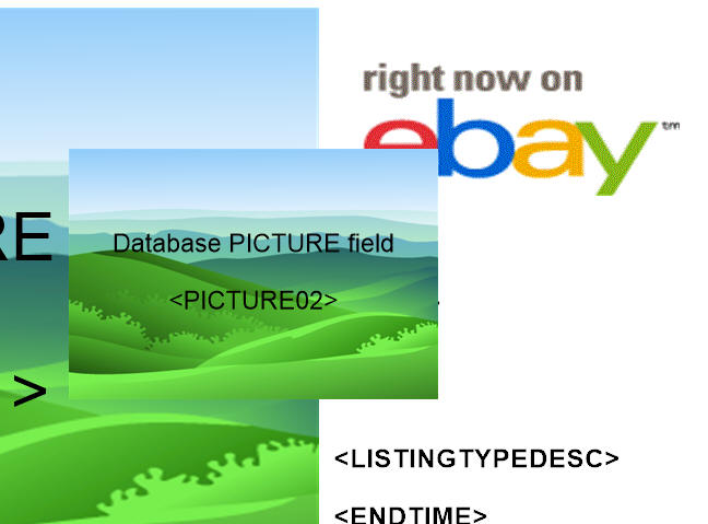 Database picture field