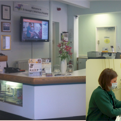 Repeat Digital Signage at Veterinary practices